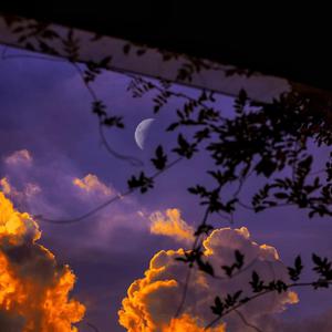 🎆黄🎆色🎆视🎆频周
